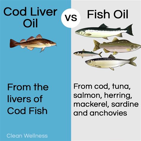 fish oil vs fish liver oil